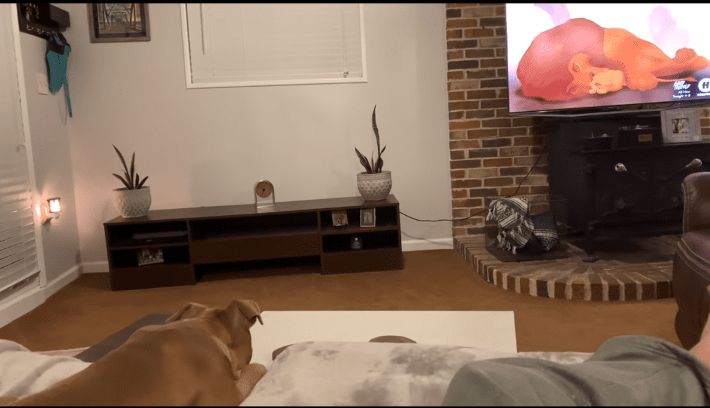 Luna Sits Down & Cry as Simba Cries Alongside His Father