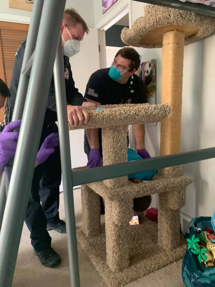 4yearold boy gets his head stuck in a cat tree but hilarious ordeal