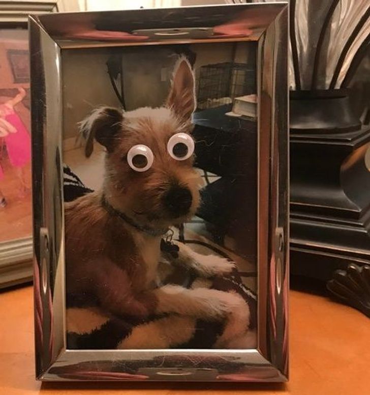 40 Funny Kids Who Made Parenting Much More Fun