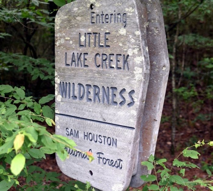 After 3 young children go missing in the woods a volunteer miraculously ...