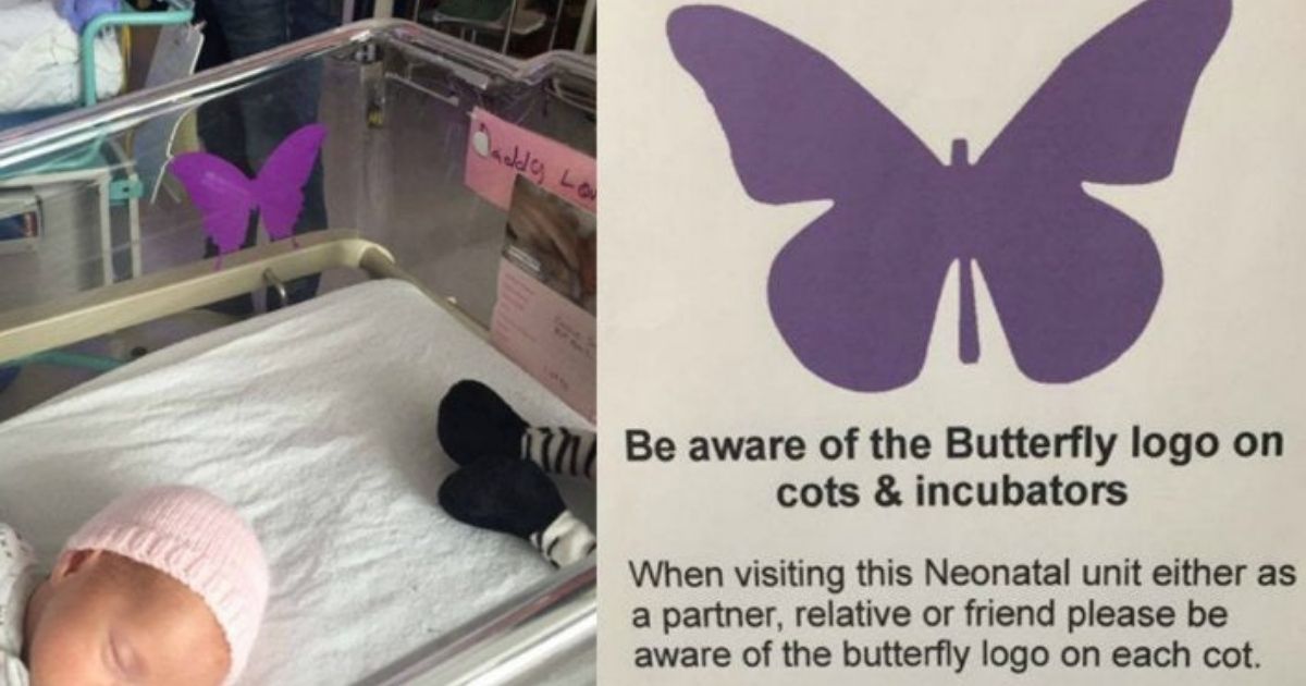 The meaning behind the purple stickers on baby's cribs in the NICU